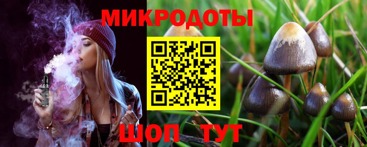 Галлюциногенные грибы Magic Shrooms  Галлюциногенные грибы Psilocybe  Сальск  Вход с VPN 